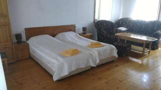 Отель Rozhenski Han Рожен Двухместный номер Делюкс с 1 кроватью или 2 отдельными кроватями-3